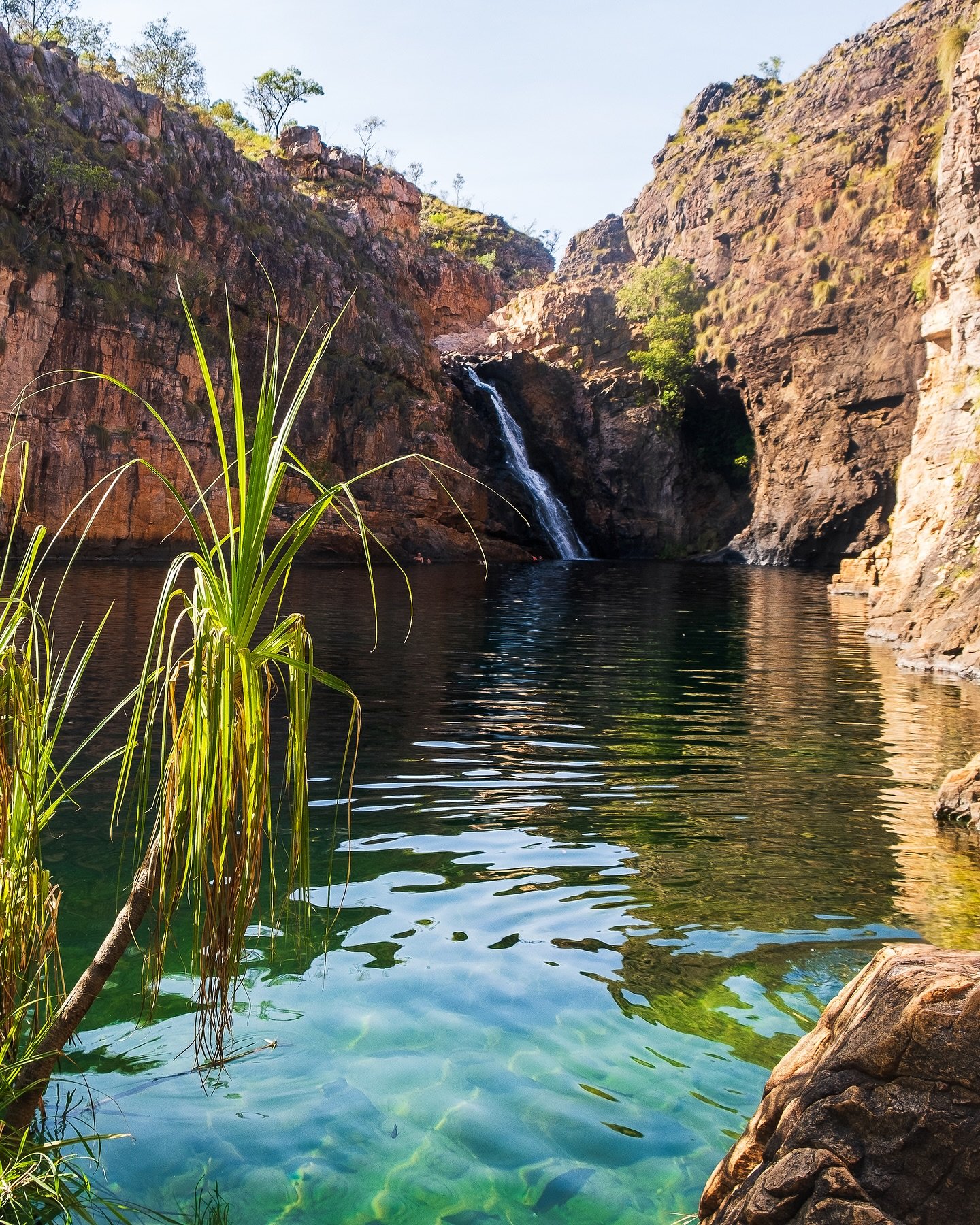 Barramundi Gorge (Maguk Waterfall) My favourite place to relax in Kakadu 🏞️
📸 Fuji X-T3 + Fujinon XF 18-55mm
.
#maguk #kakadunationalpark #visitnt #northernterritory #fujifilm_xseries #esfujifilmx #fujifilmx_au #fujistas #lanscapephotography