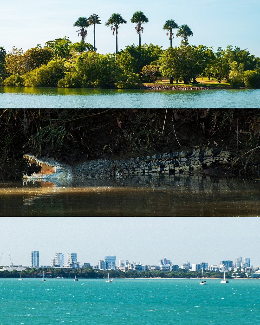 🐊 Primer cocodrilo salvaje que veo 😍 Cost&oacute; lo suyo verlos pero al fin los encontr&eacute;.
&bull;
The first crocodile I&rsquo;ve seen in the wild! It took me a while so see one because I didn&rsquo;t book any cruise or experience to see them