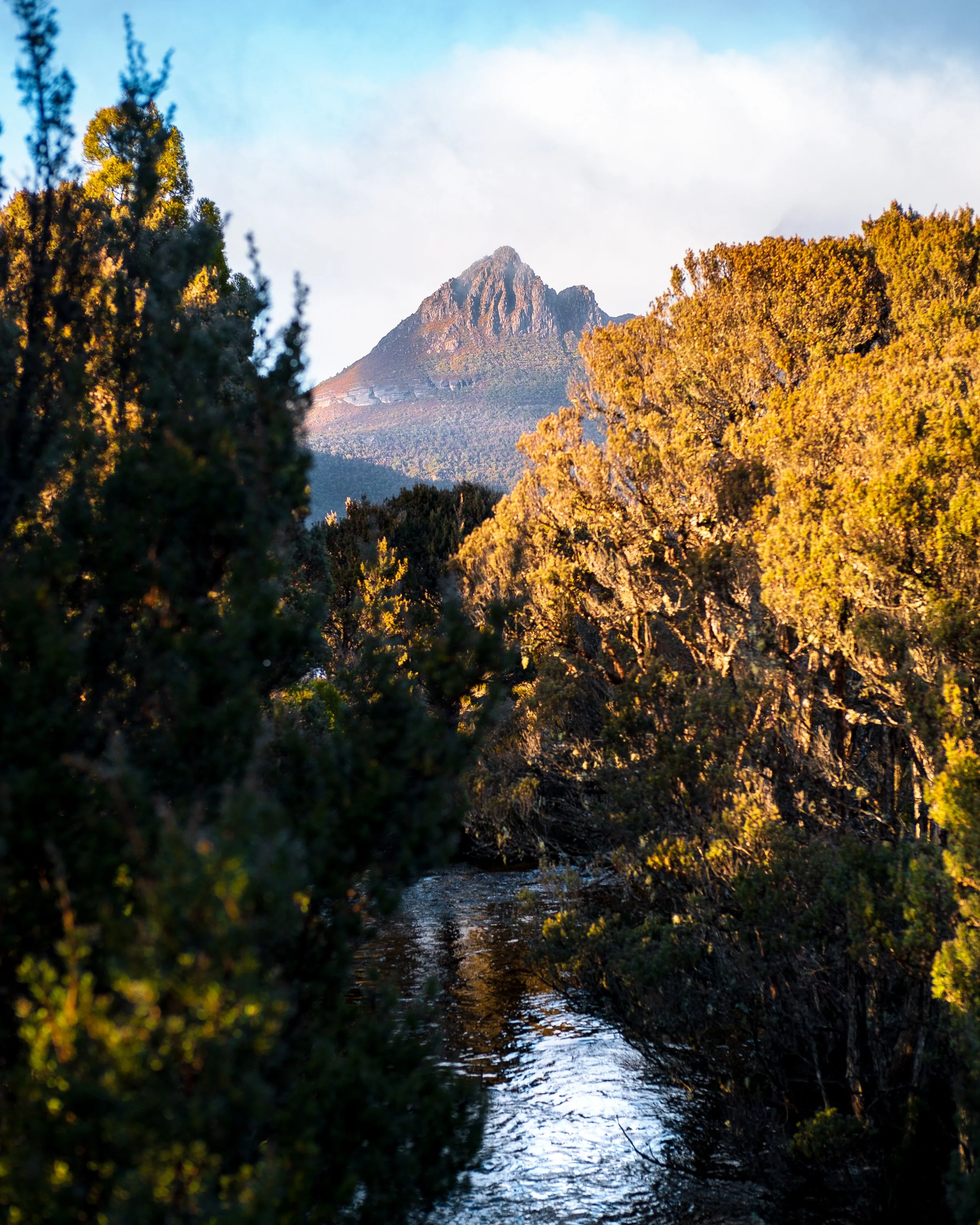 Tasmania_Willie_Roman_Photography_69.jpg