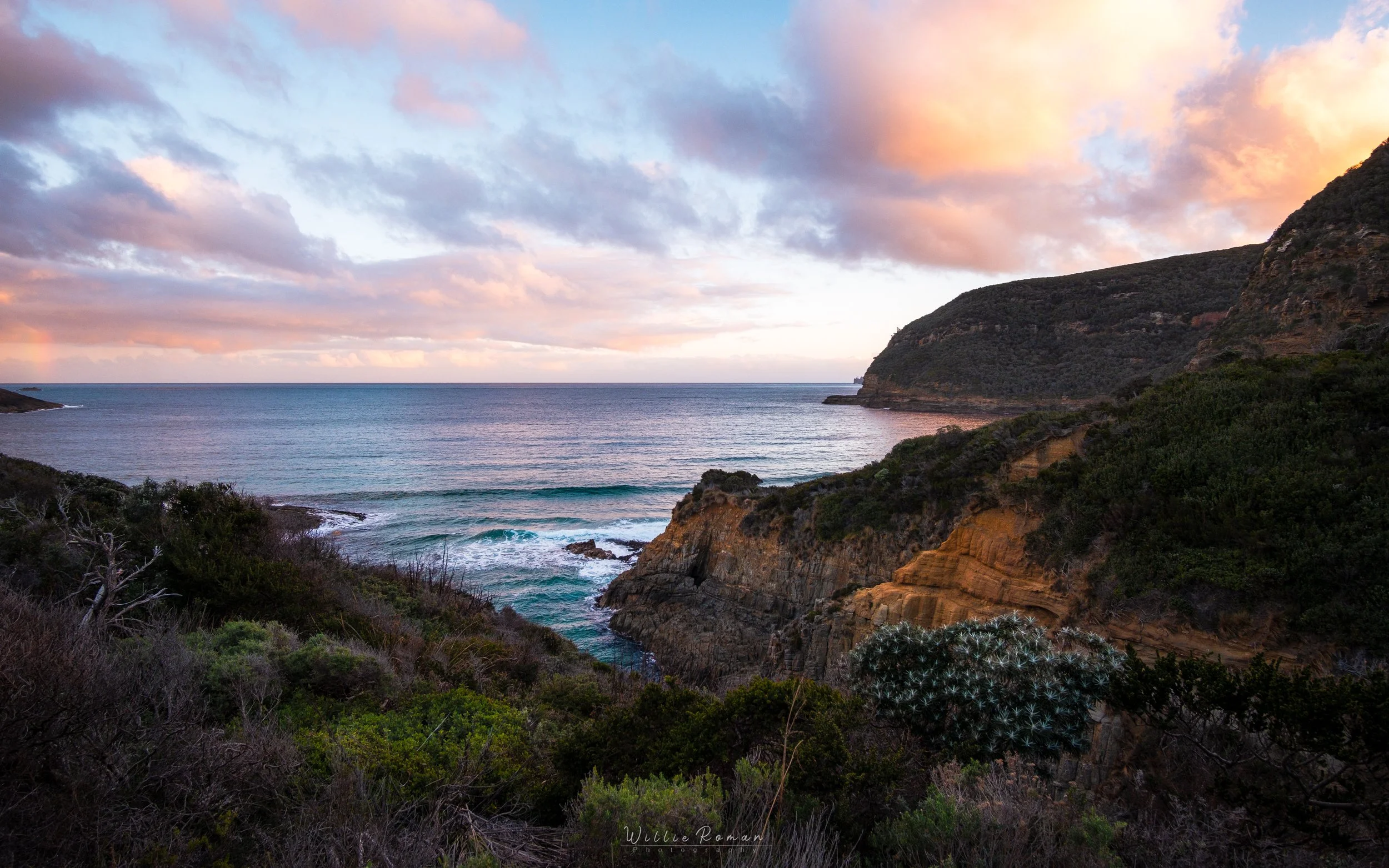 Tasmania_Willie_Roman_Photography_3.jpg