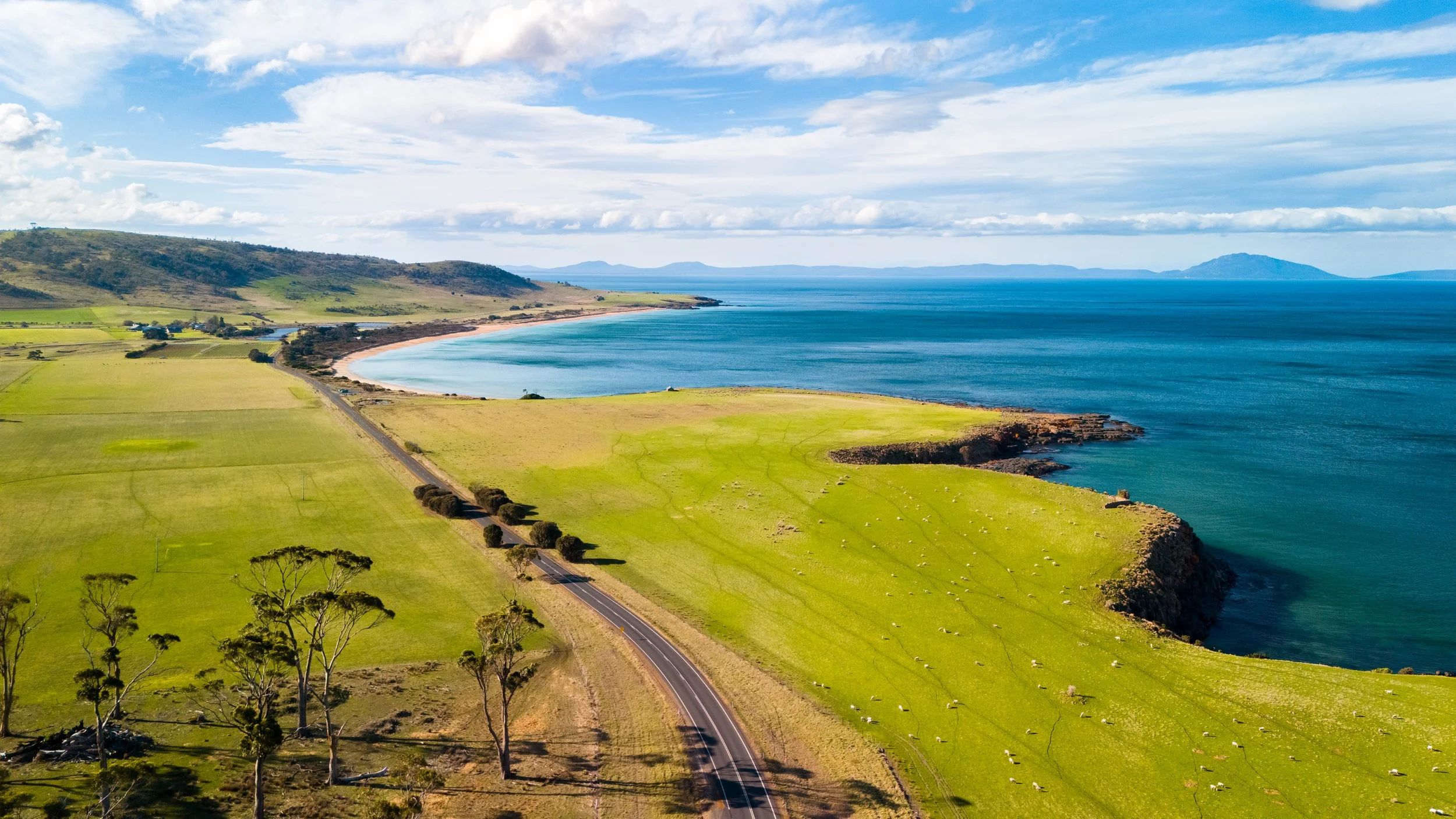 Tasmania_Willie_Roman_Photography_91.jpg
