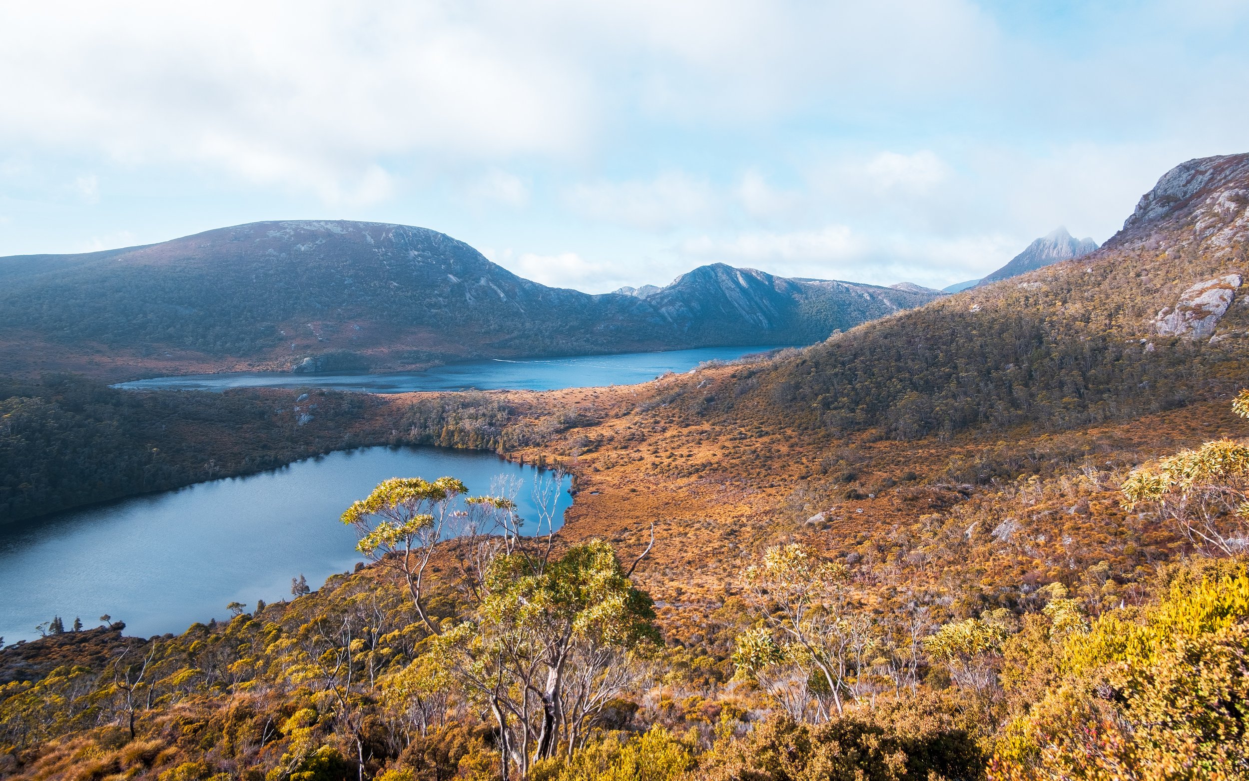 Tasmania_Willie_Roman_Photography_78.jpg