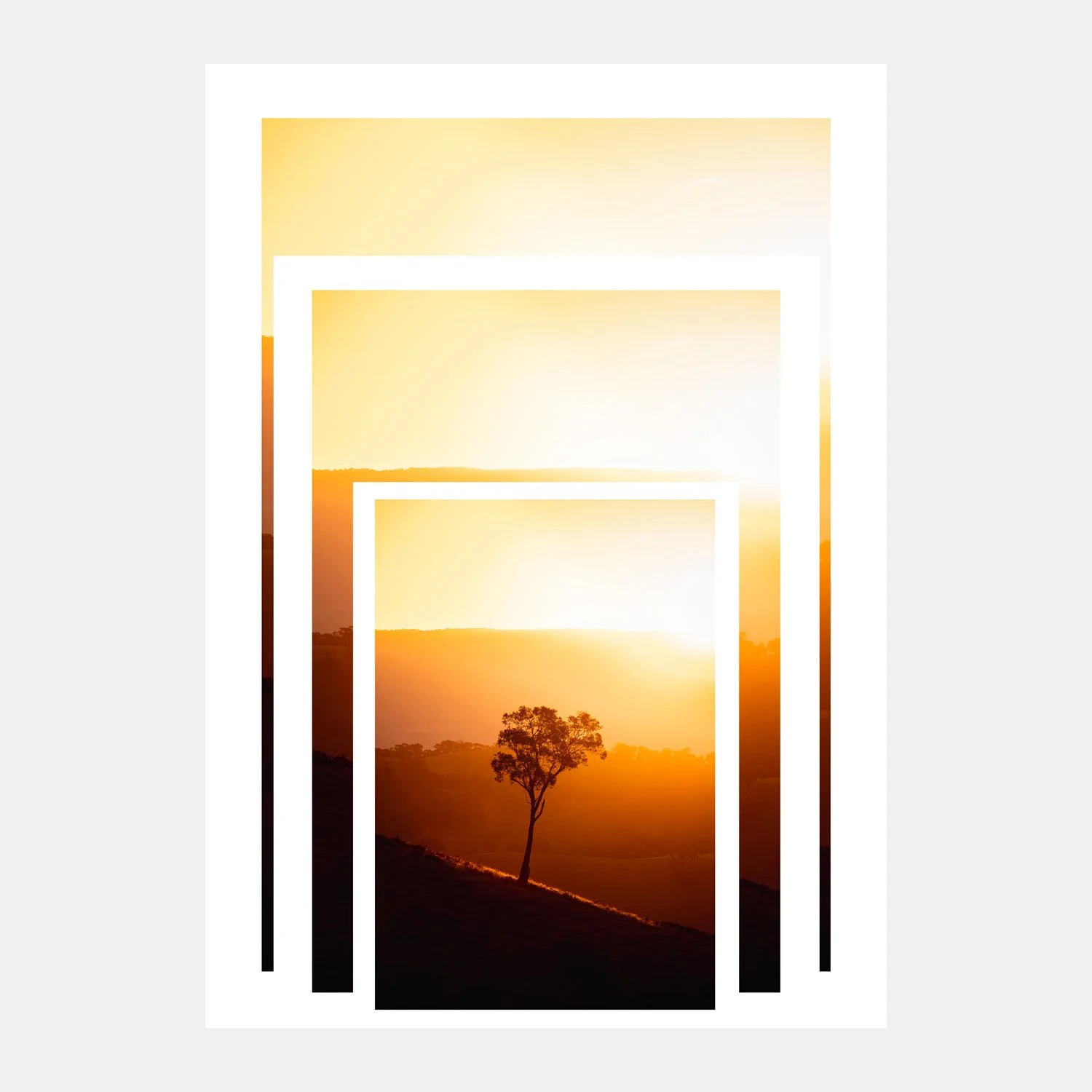 Collage-Sizes-lonelly-tree.jpg