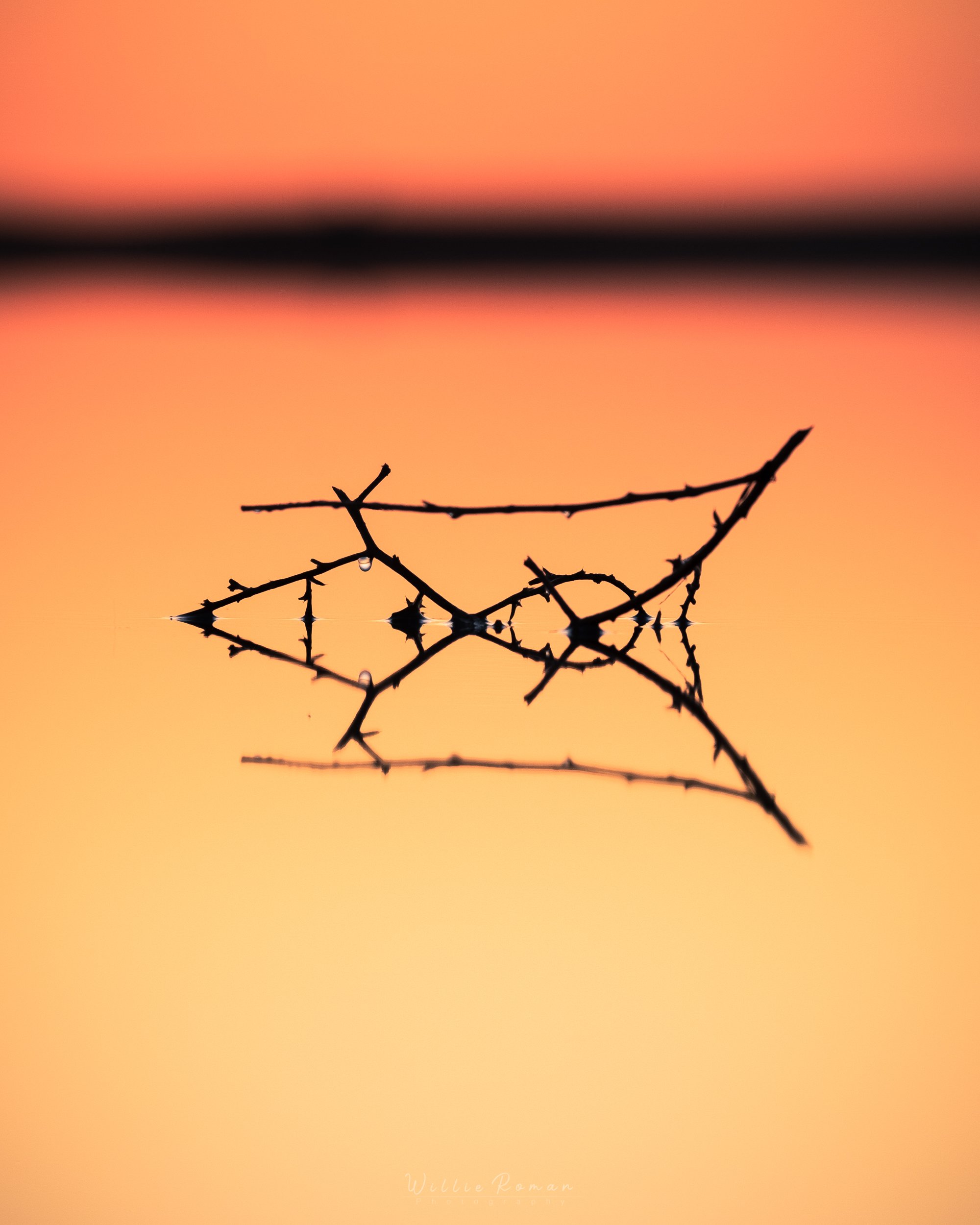 _DSF8307.jpg