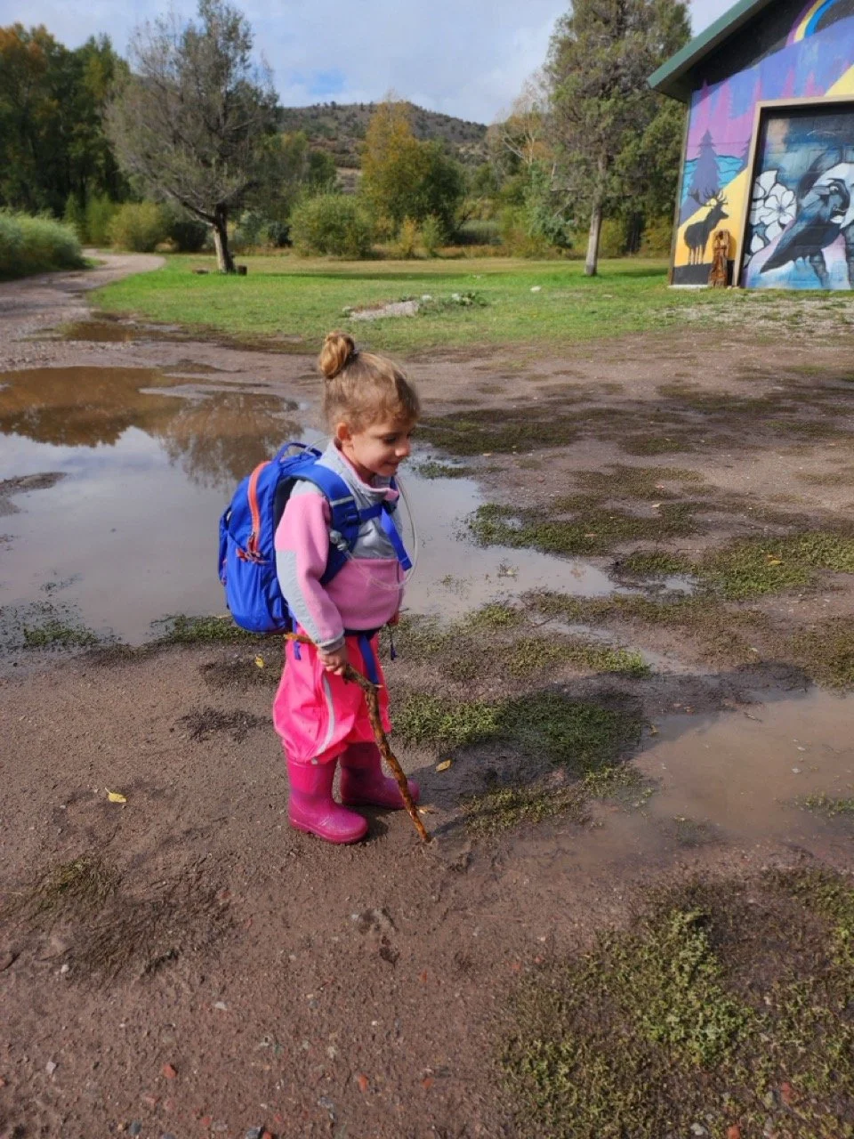 20250923_102654 Large.jpeg