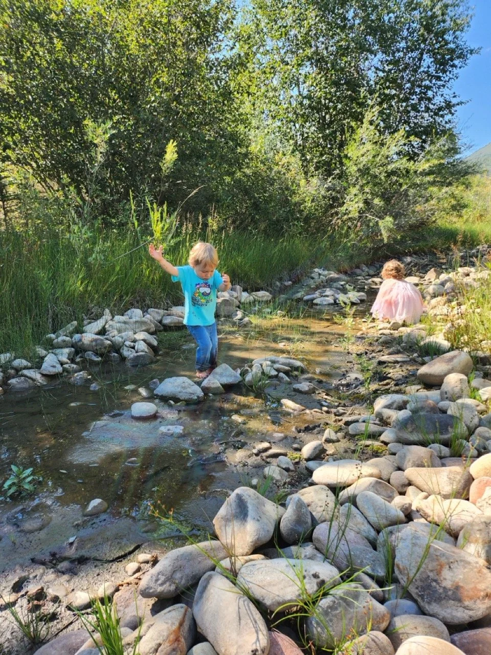 20250902_104748 Large.jpeg