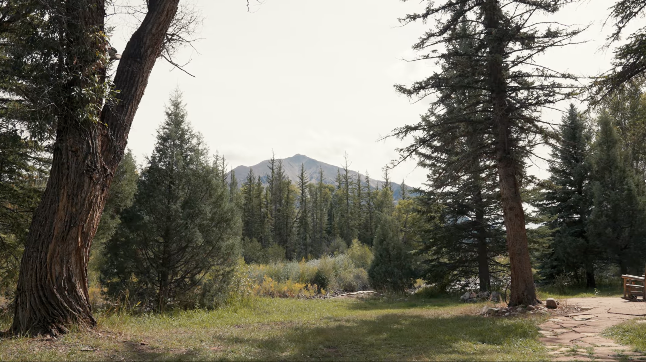 Screenshot 2026-03-23 at 1.05.21 PM.png