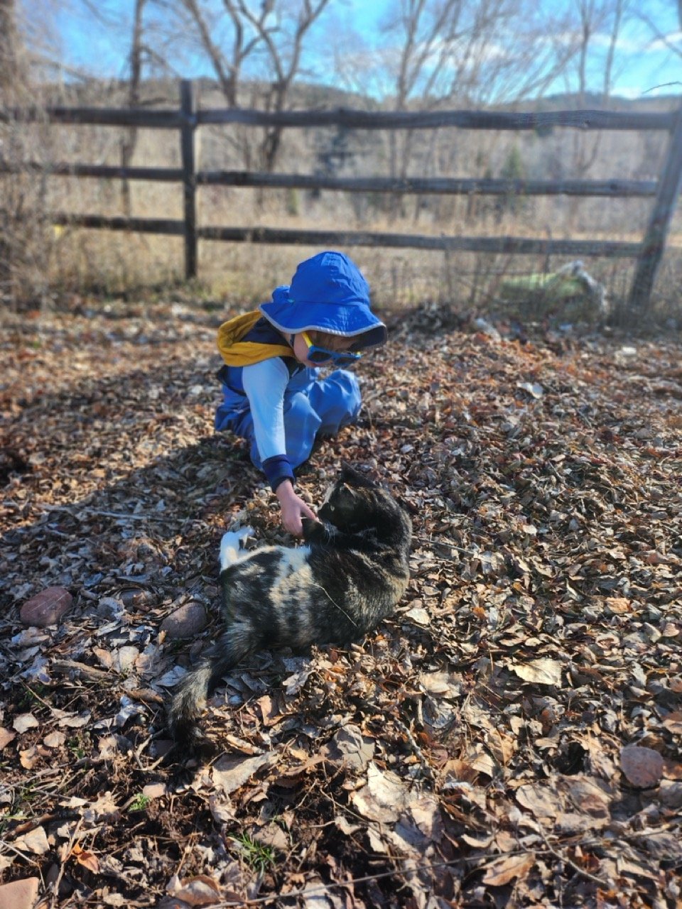 20260310_101545 Large.jpeg