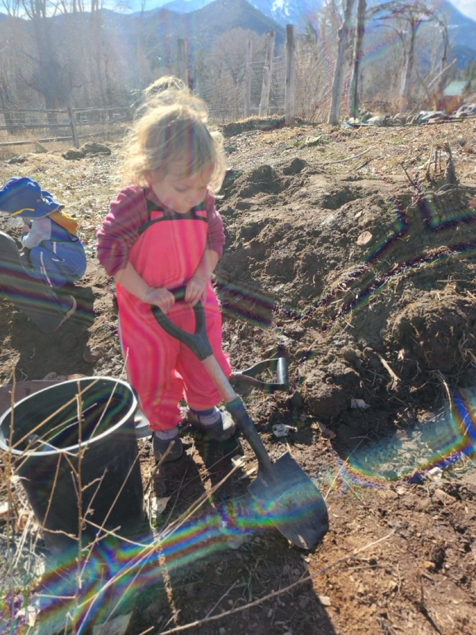 20260310_103910 Large.jpeg