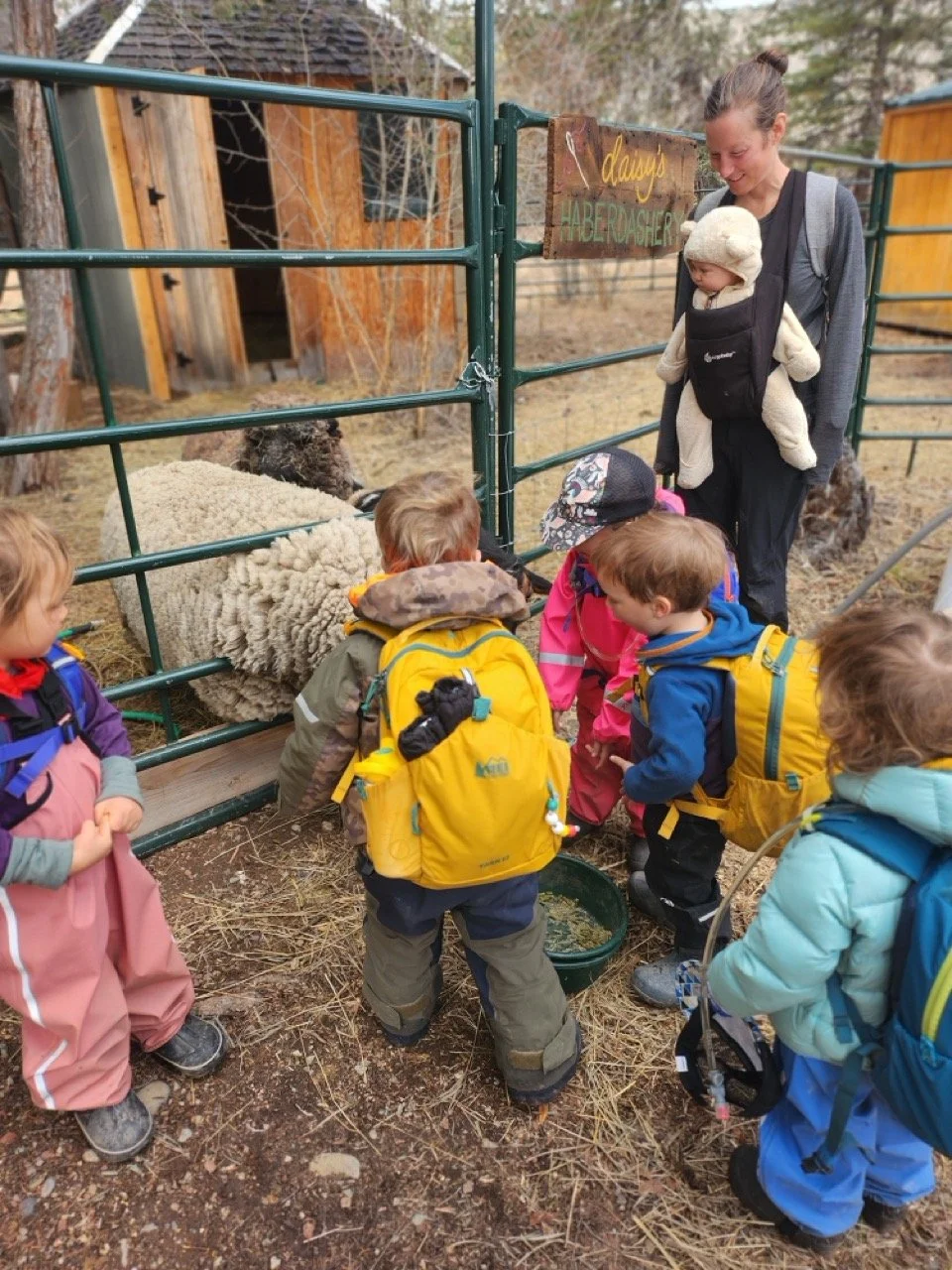 20260303_101929 Large.jpeg