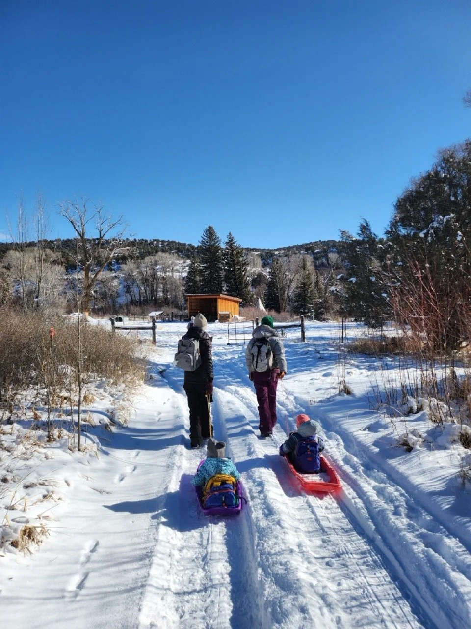 20260127_103753 Large.jpeg