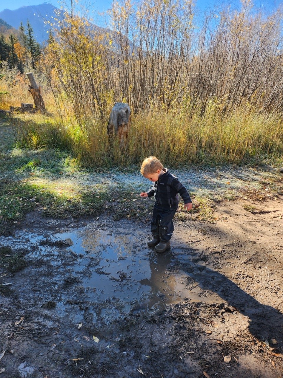 20251021_104024 Large.jpeg