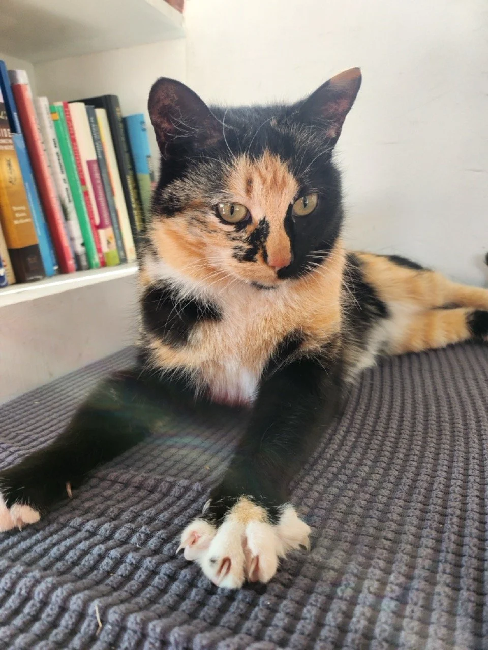 20260113_124815 Large.jpeg