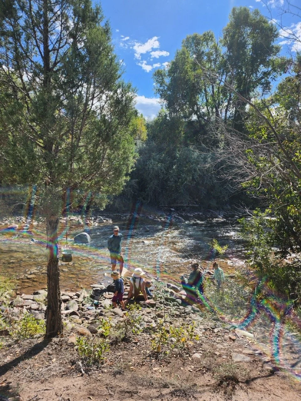 20250916_105949 Large.jpeg