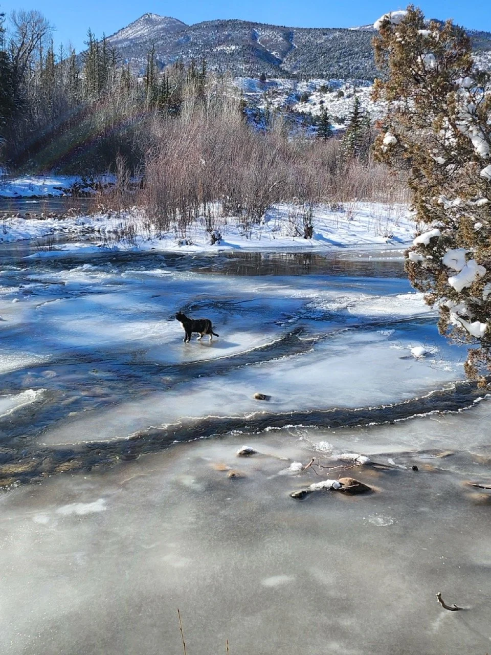 20260127_105209 Large.jpeg