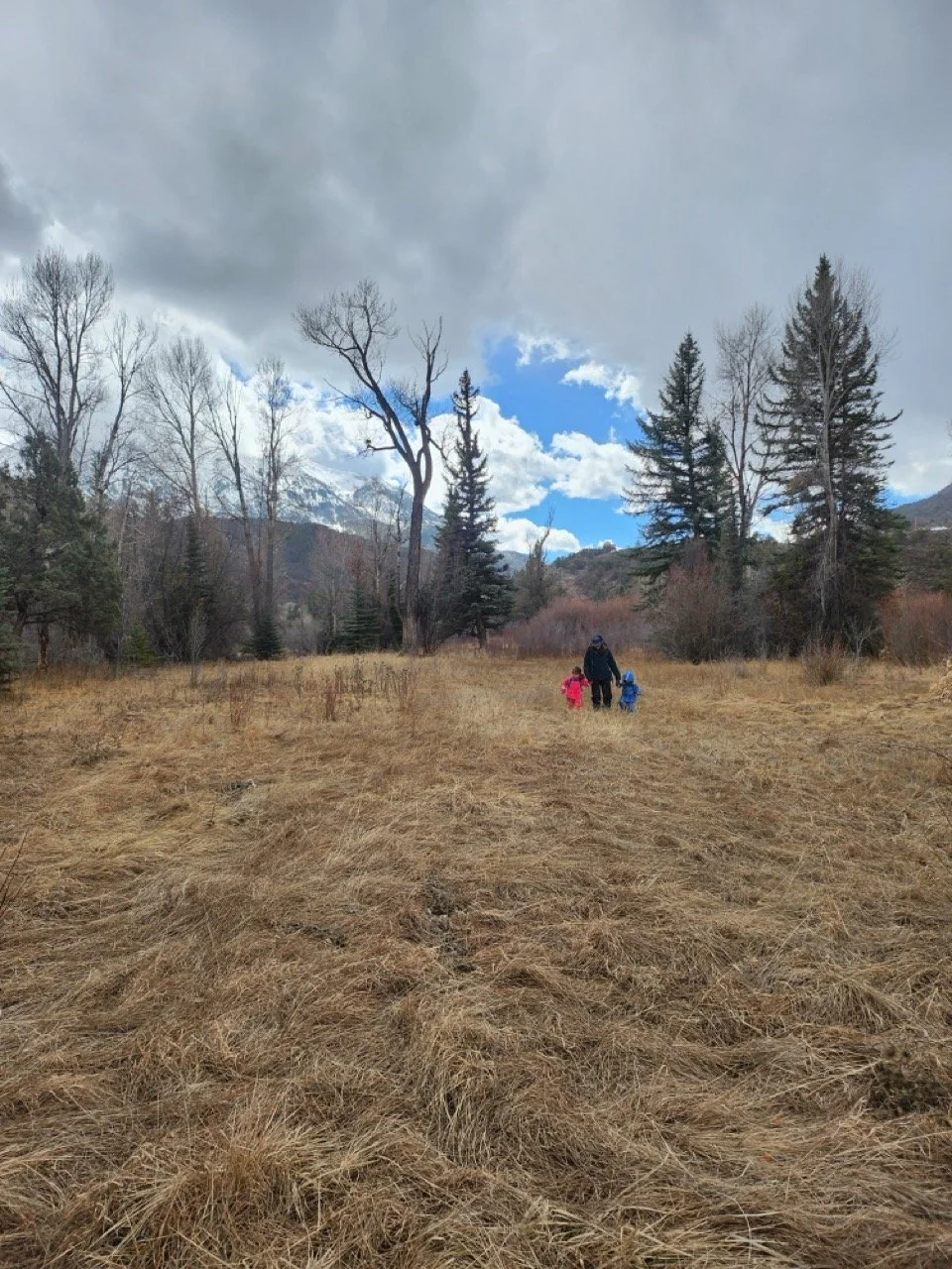 20260303_111935 Large.jpeg