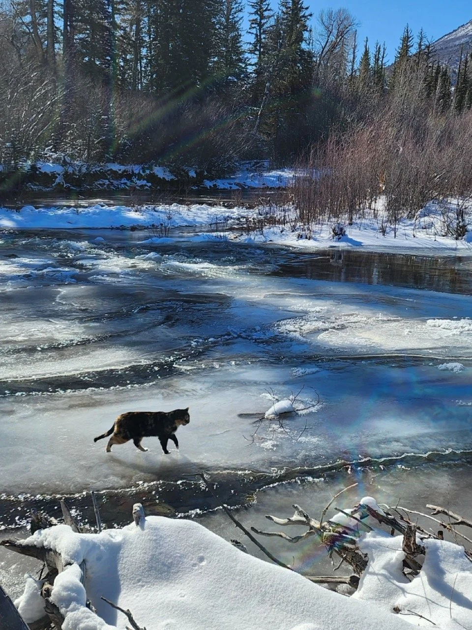 20260127_105247 Large.jpeg