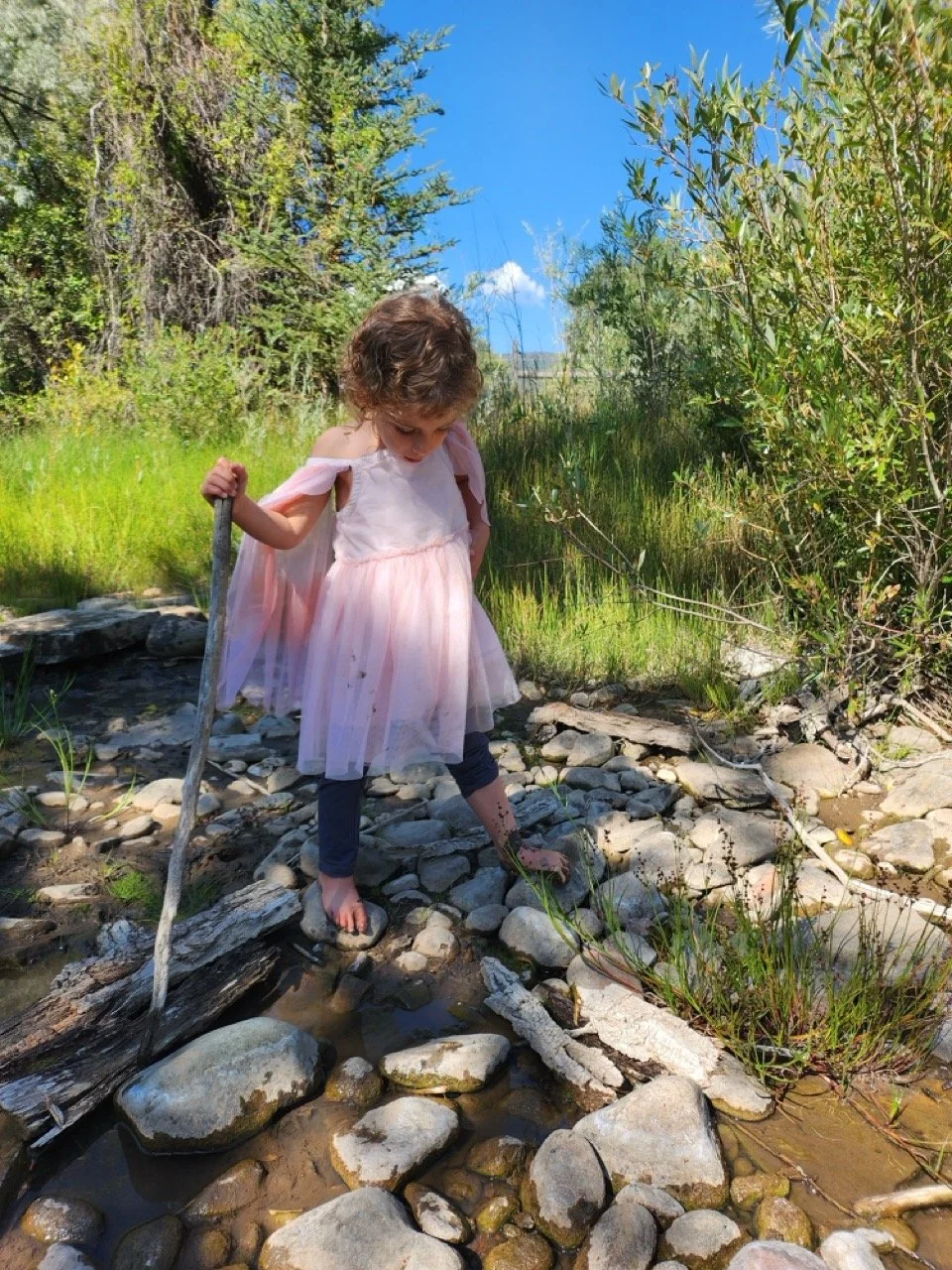 20250902_103657 Large.jpeg