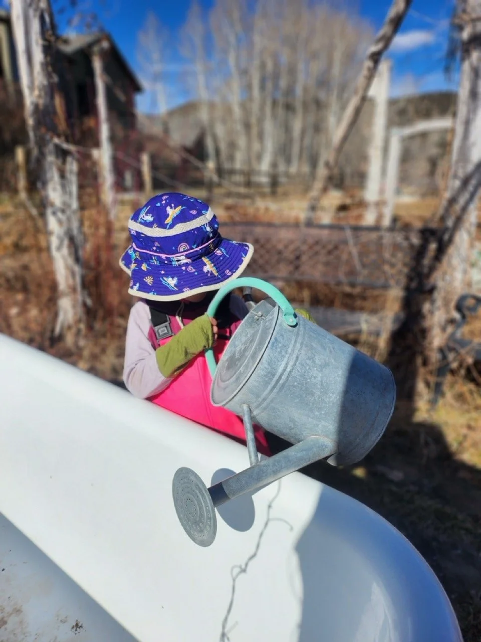 20260310_103551 Large.jpeg