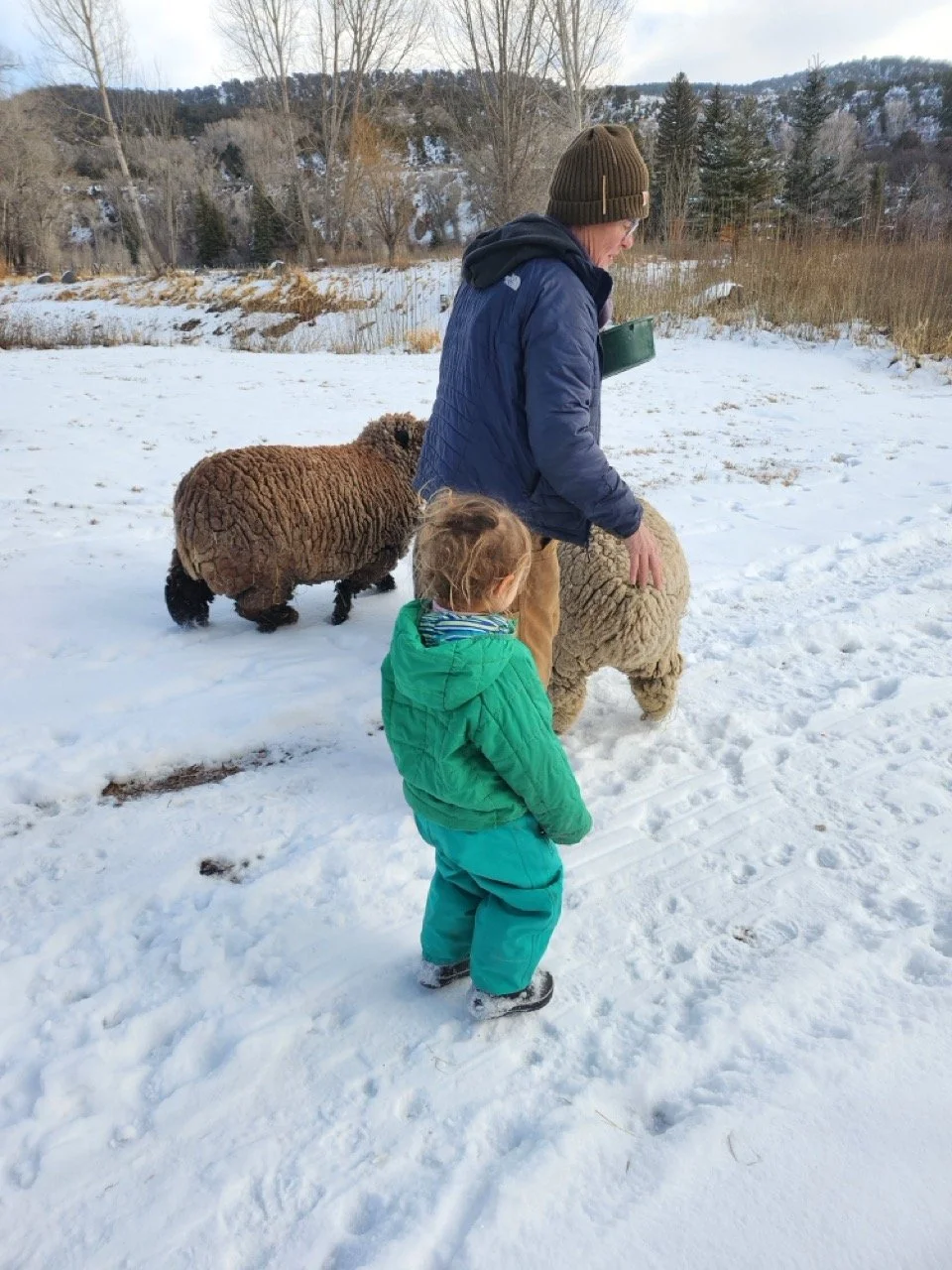 20260113_112434 Large.jpeg