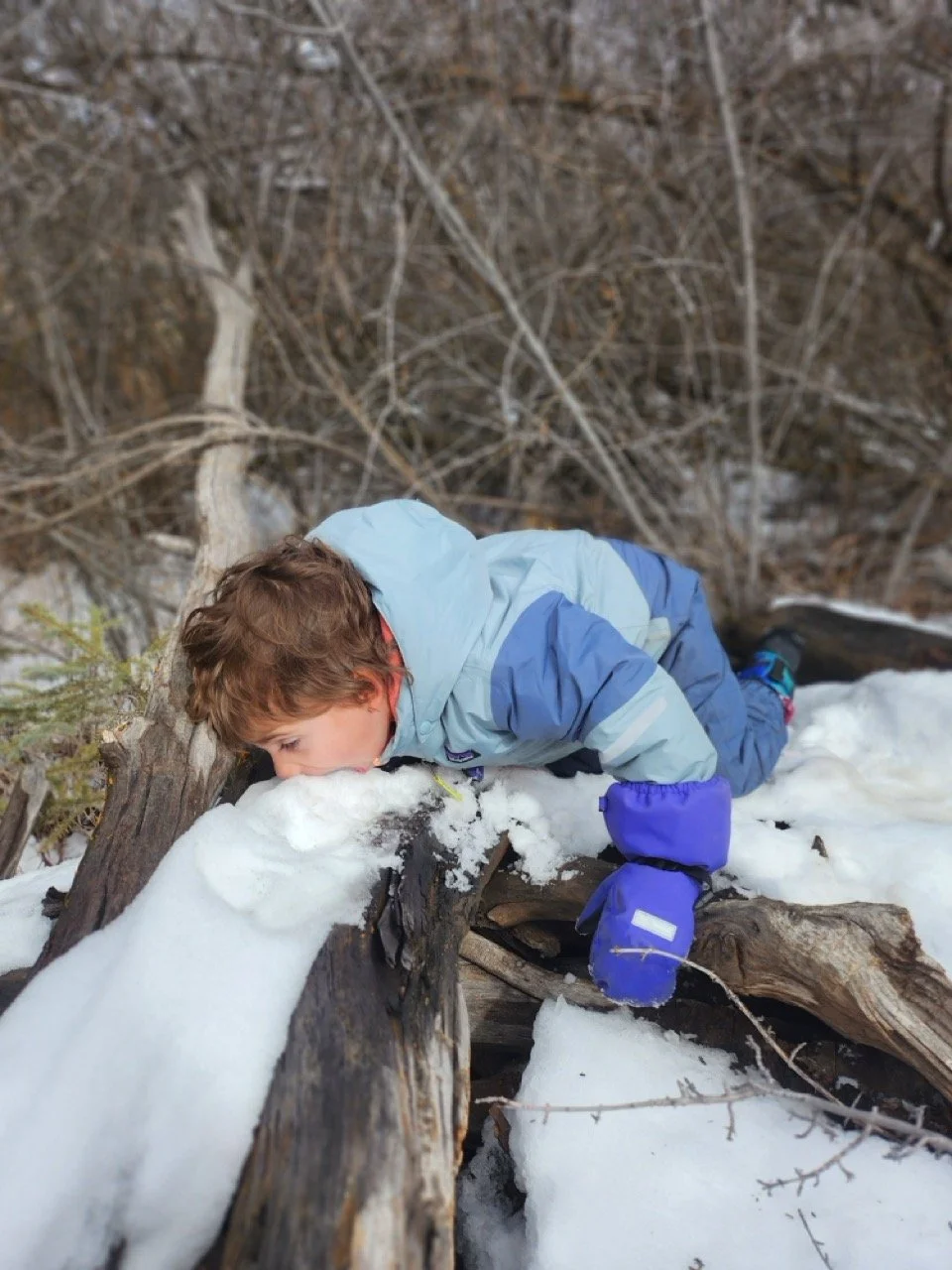 20260224_105549 Large.jpeg