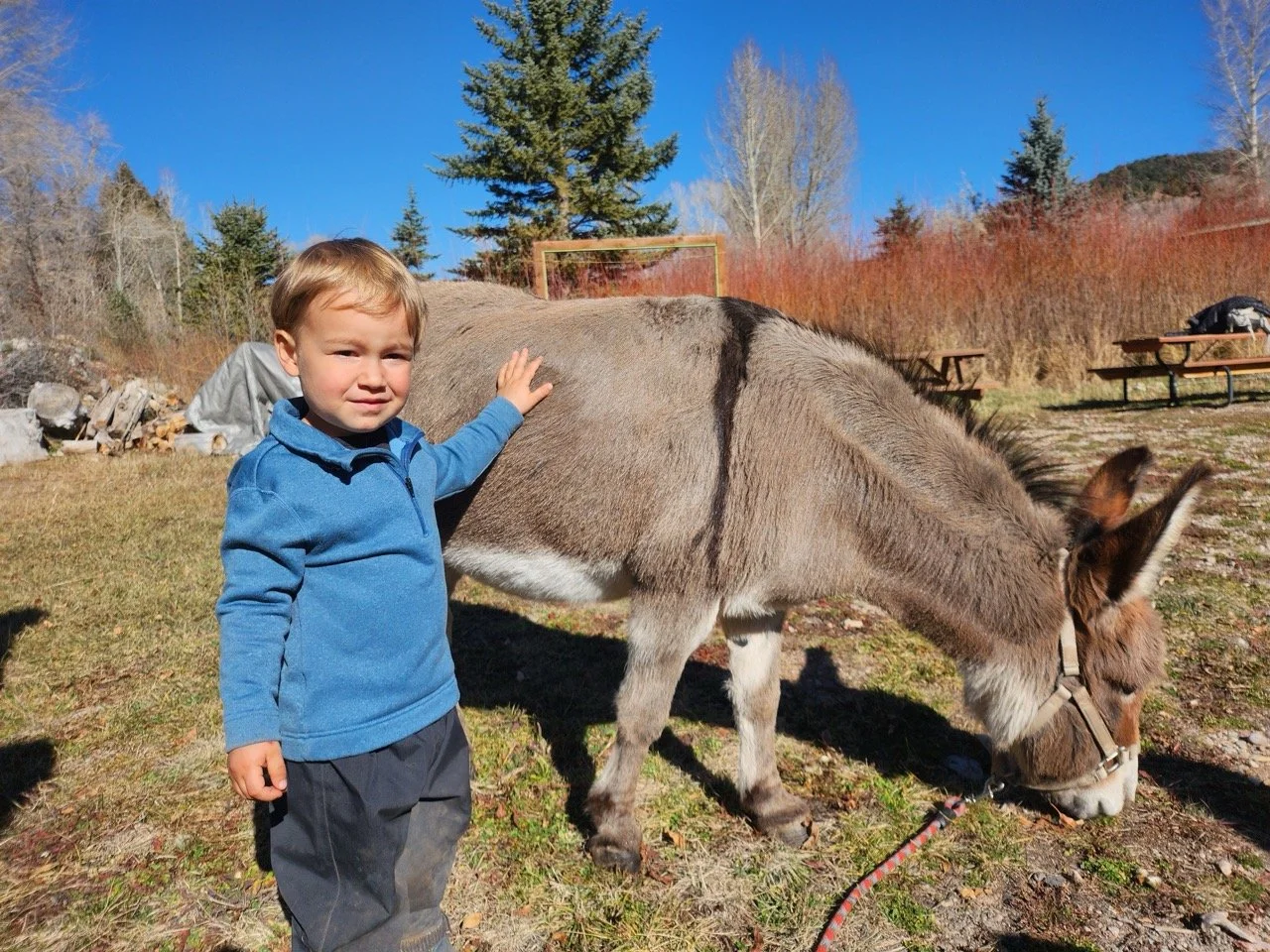 20251104_112424 Large.jpeg