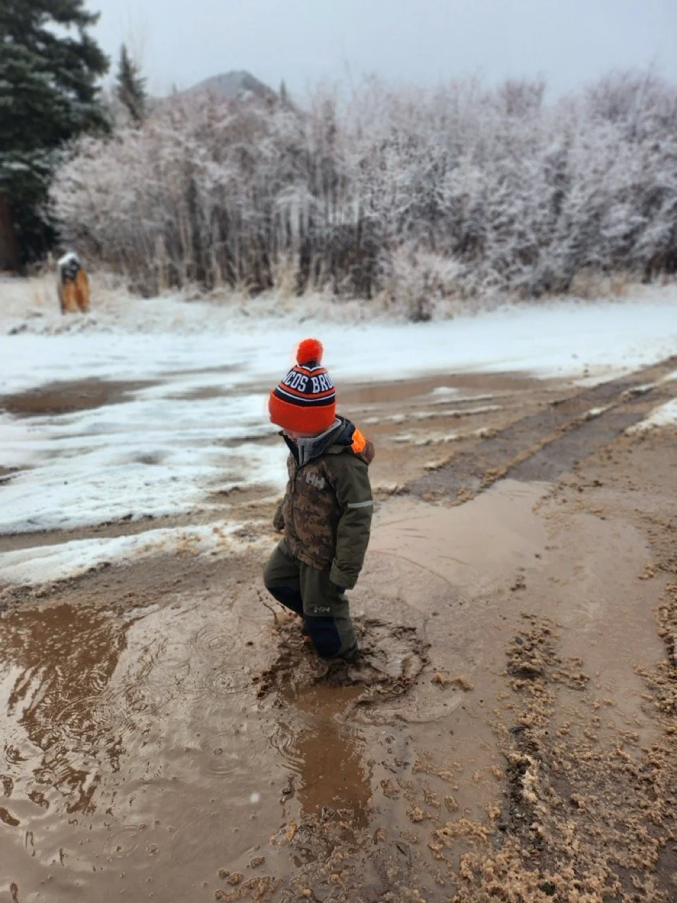 20260217_090055 Large.jpeg