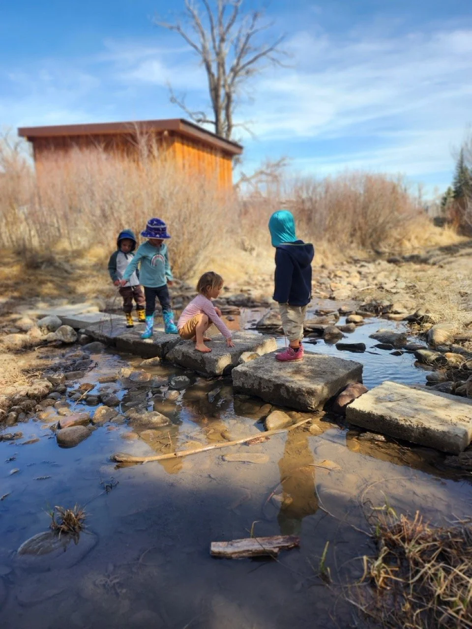 20260324_102302 Large.jpeg