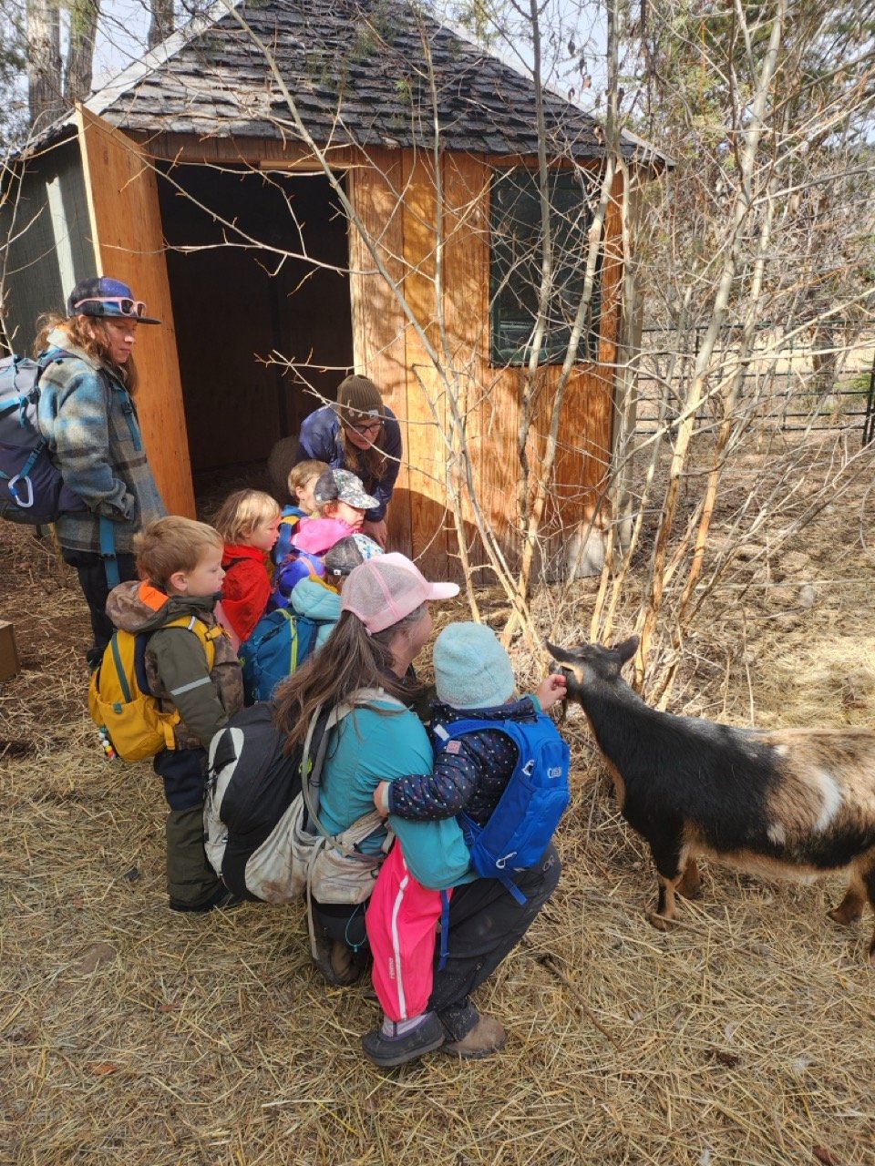 20260303_102631 Large.jpeg