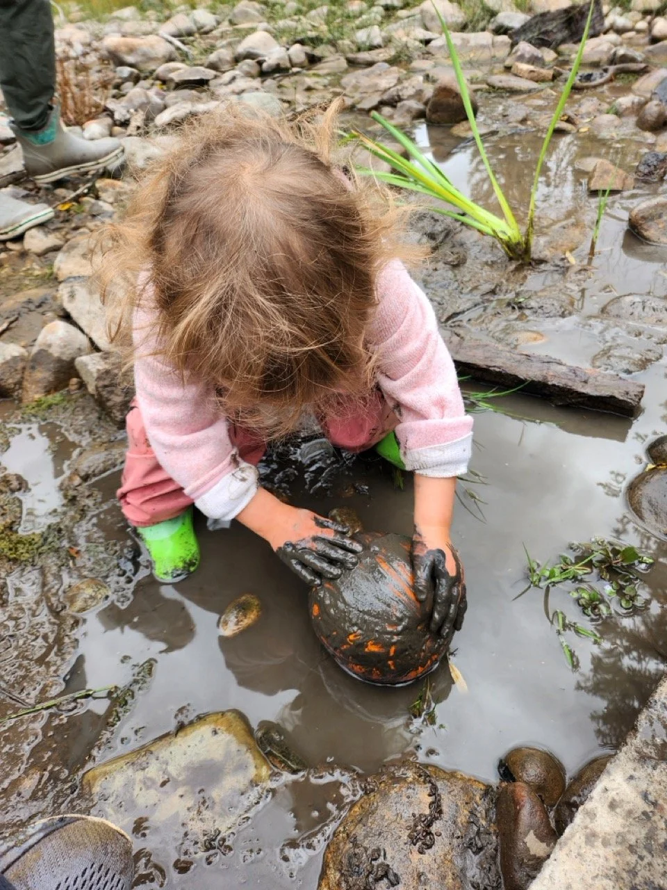 20250930_110929 Large.jpeg