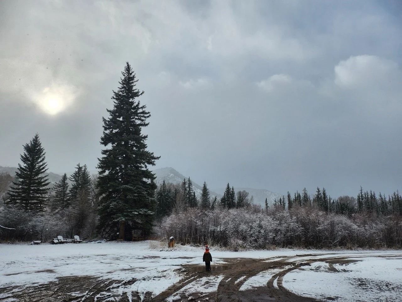 20260217_090417 Large.jpeg