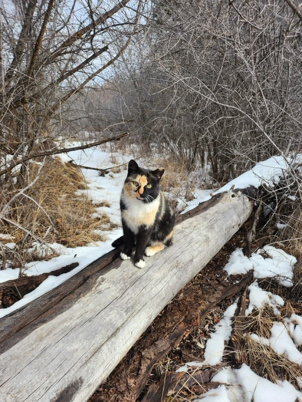 20260224_105559 Large.jpeg