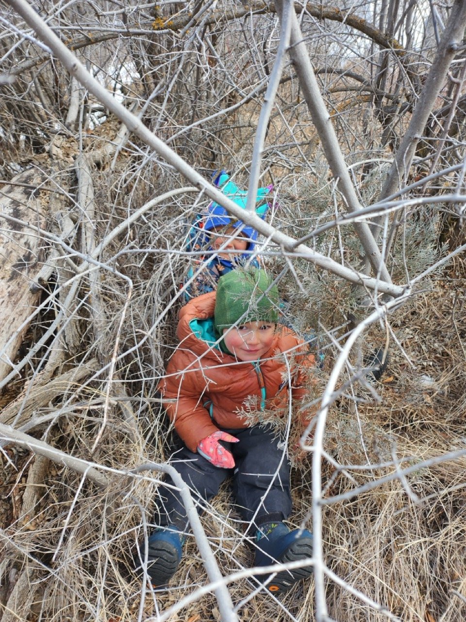 20260203_104806 Large.jpeg