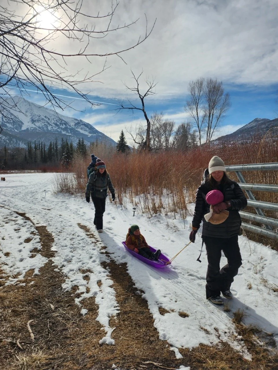 20260113_111618 Large.jpeg