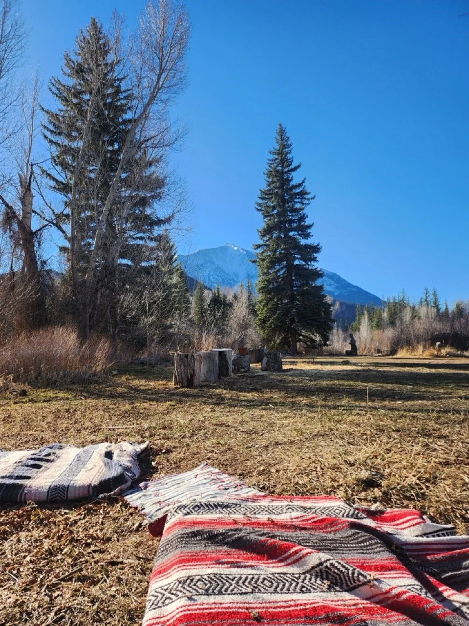 20260317_091459 Large.jpeg