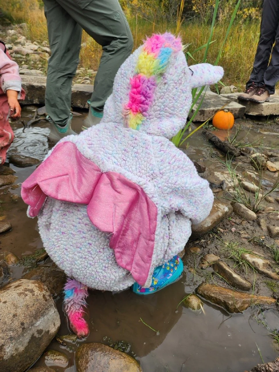 20250930_110137 Large.jpeg