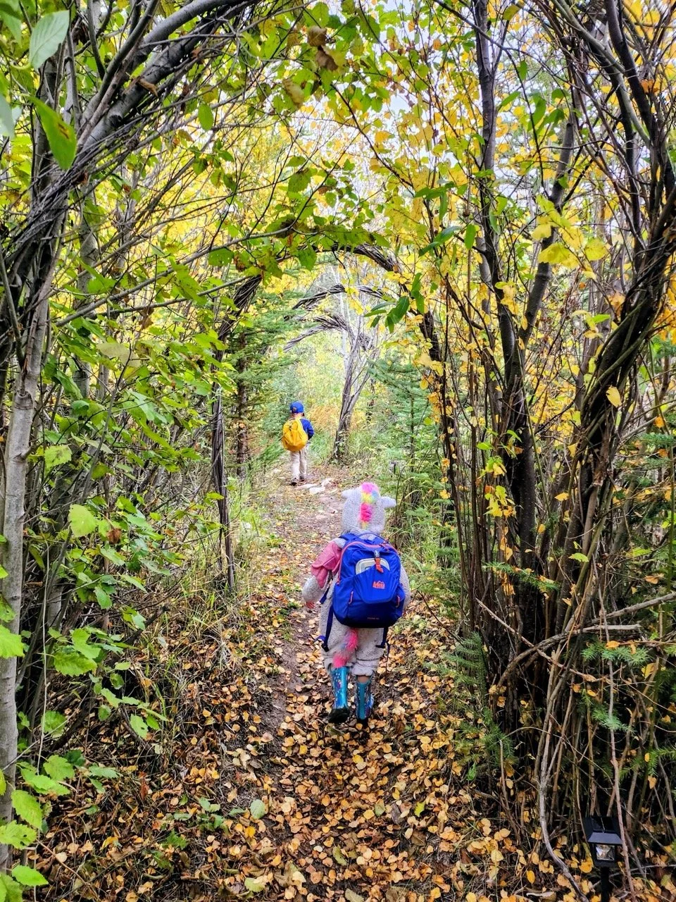 20250930_101348~2 Large.jpeg