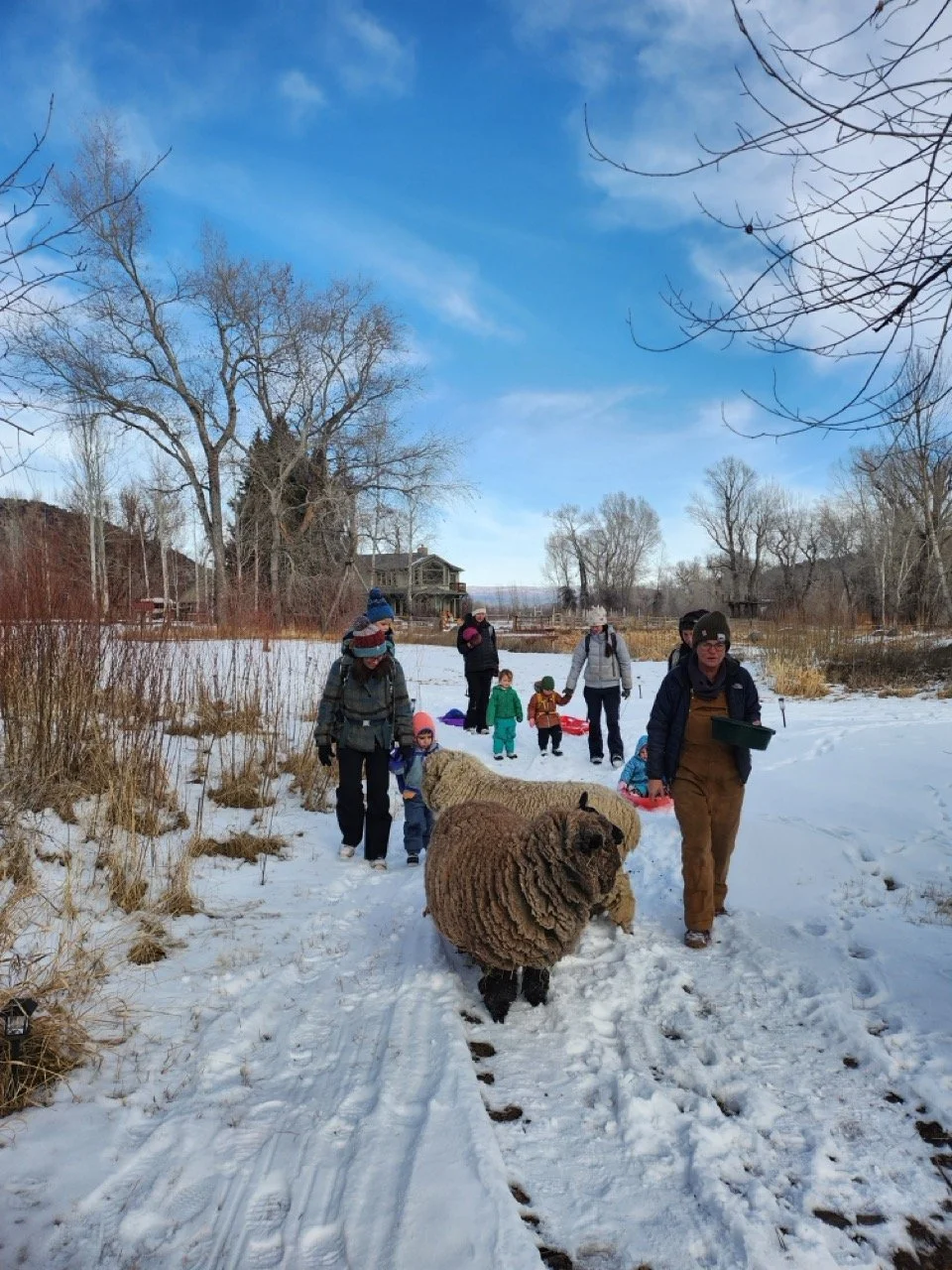 20260113_112503 Large.jpeg