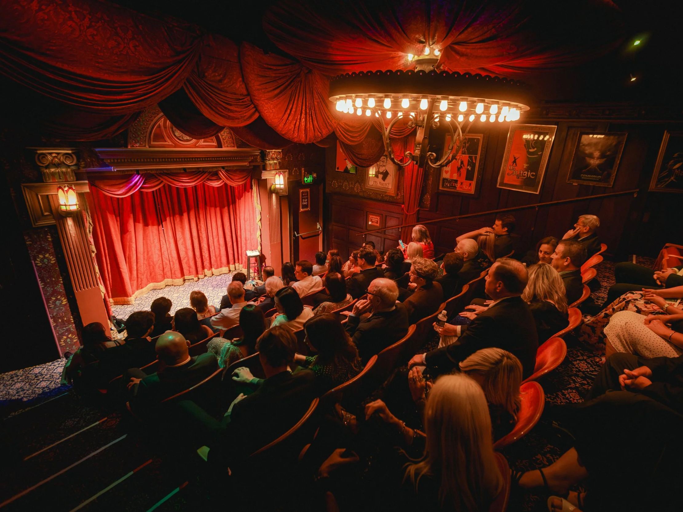 Magic/Mentalism Show
