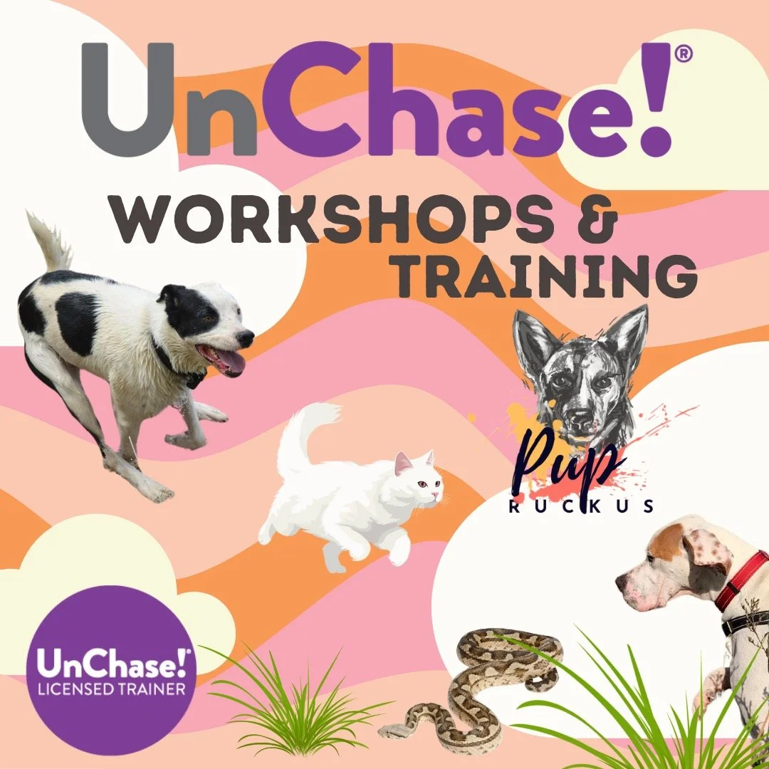 UnChase Training Melbourne