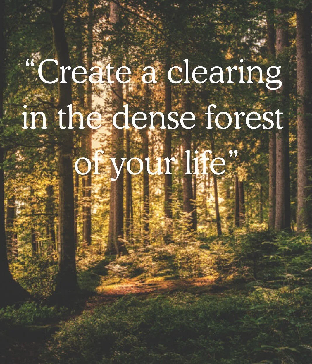A half day retreat to create a clearing, restore and renew&hellip;.

Held at the beautiful Shoreline studio in Portobello, join us for a mini retreat where we offer gentle restorative yin yoga, and an opportunity to experience the powerful vibrations