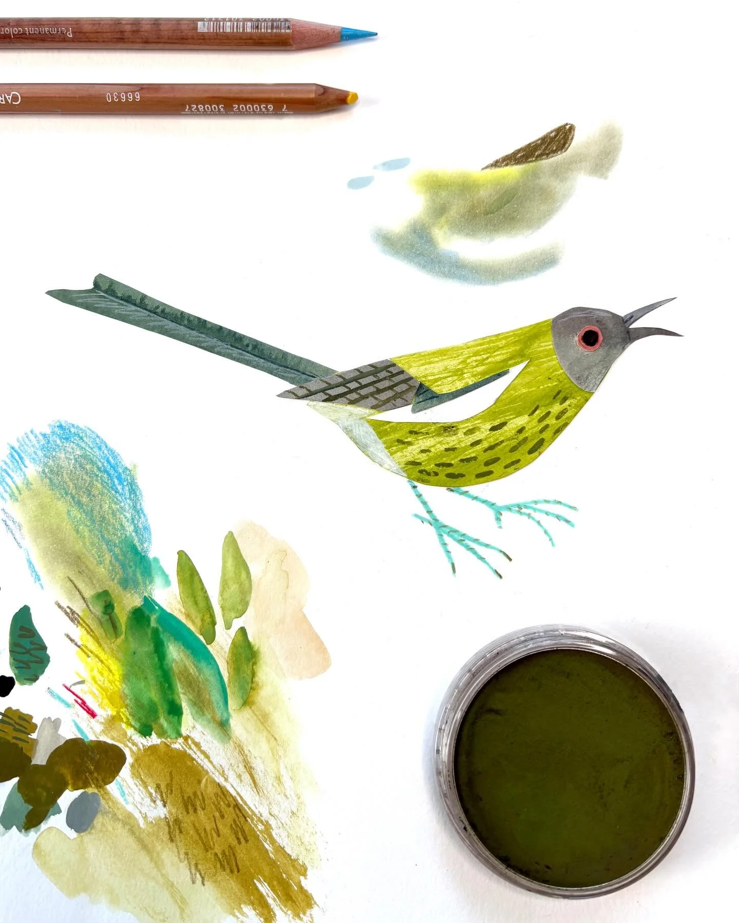 One of my many colour and character explorations - book coming out in June. ✏️🐦

#bisforbird #picturebook #korimako #birdillustration