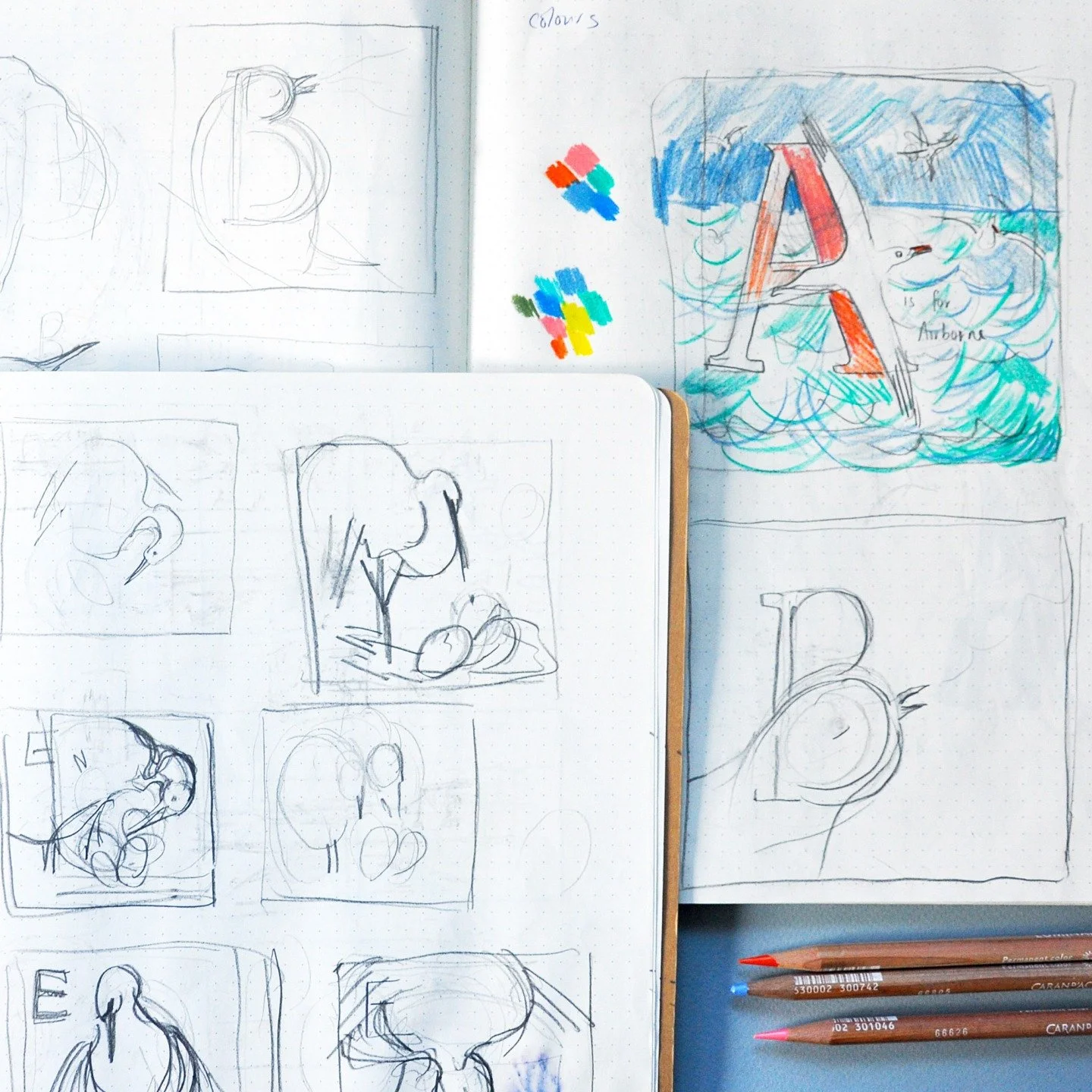 Turning thoughts into sketches ✏️🐦

#bisforbird #illustrationprocess #picturebookmaking