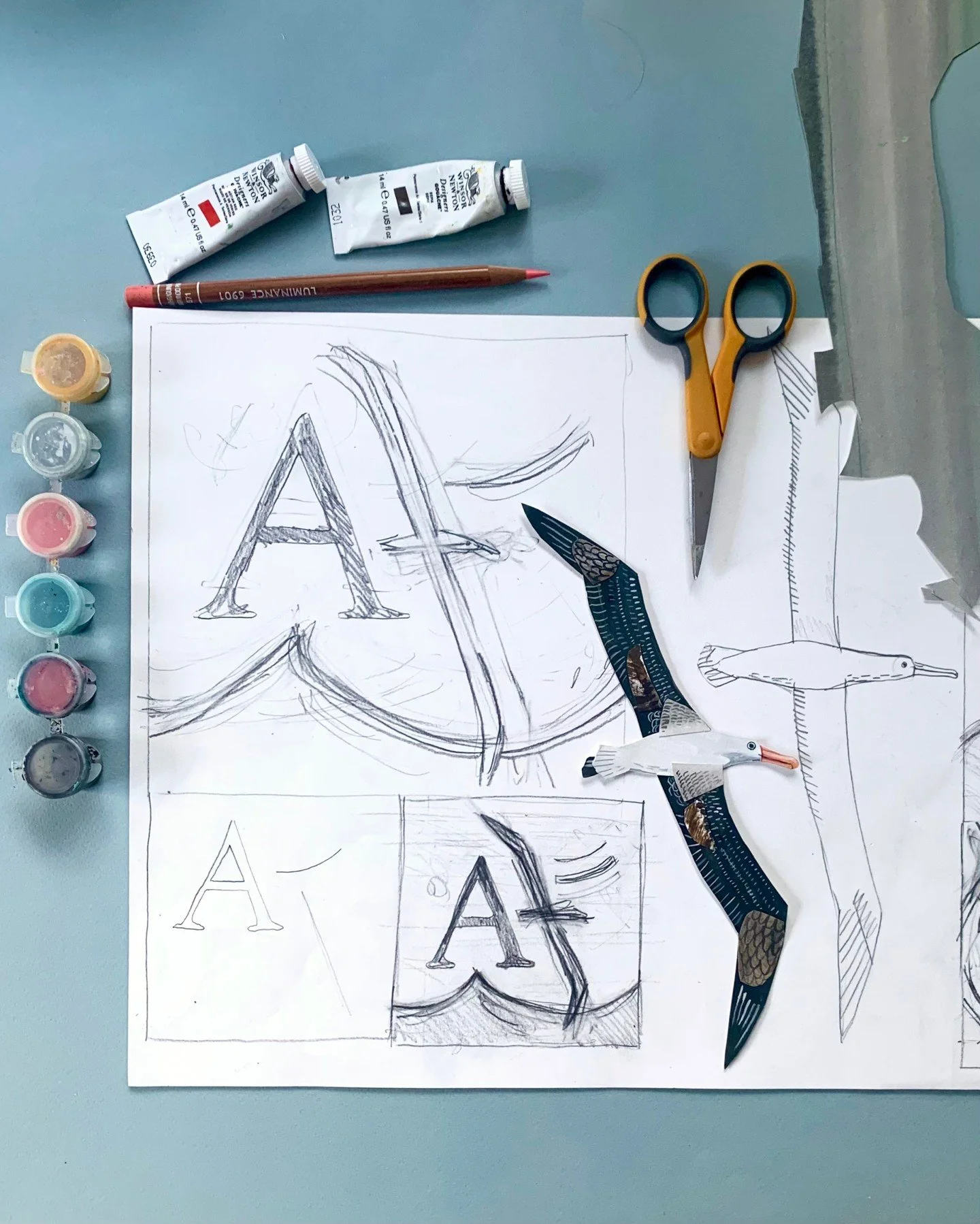 Toroa - Albatross. Slowly but surely flying into existence. 🐦🖌️🪶

#bisforbird #picturebookprocess #toroa #nzbirds