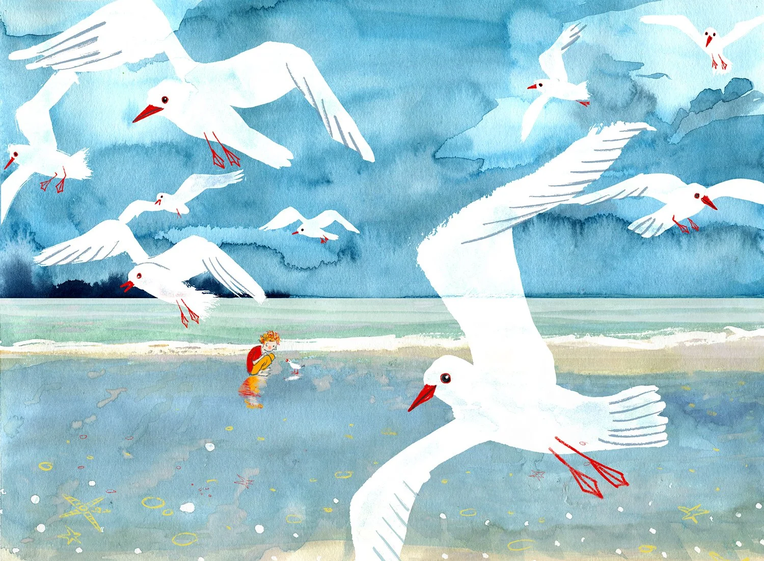 seagullplay.jpg