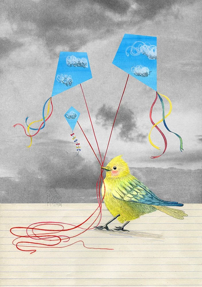 kitesbird.jpg