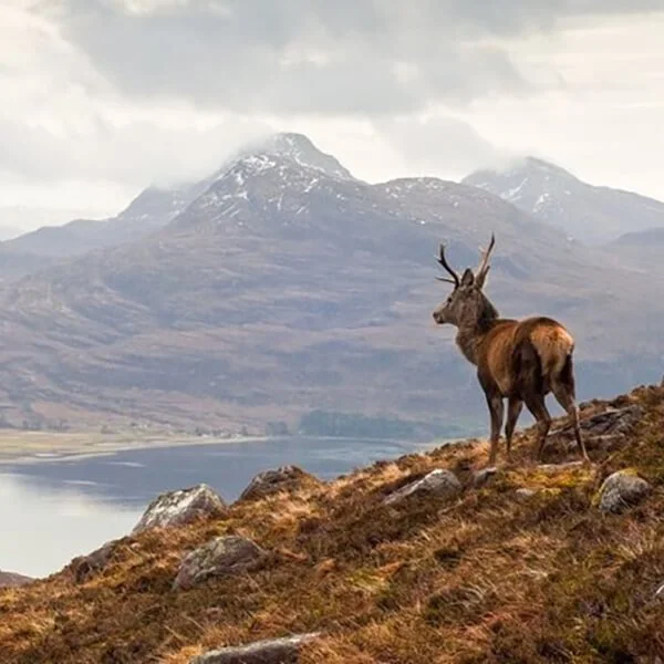 Private Tour of the Scottish Highlands Day Trip