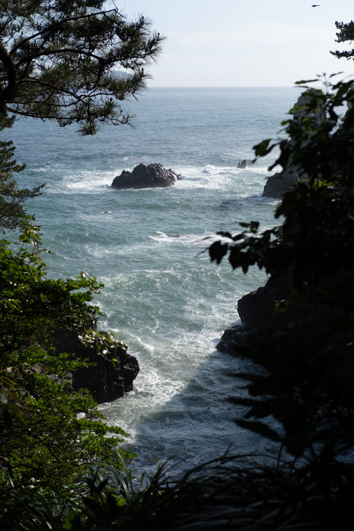 KOREA PHOTOS 2025-46.jpg