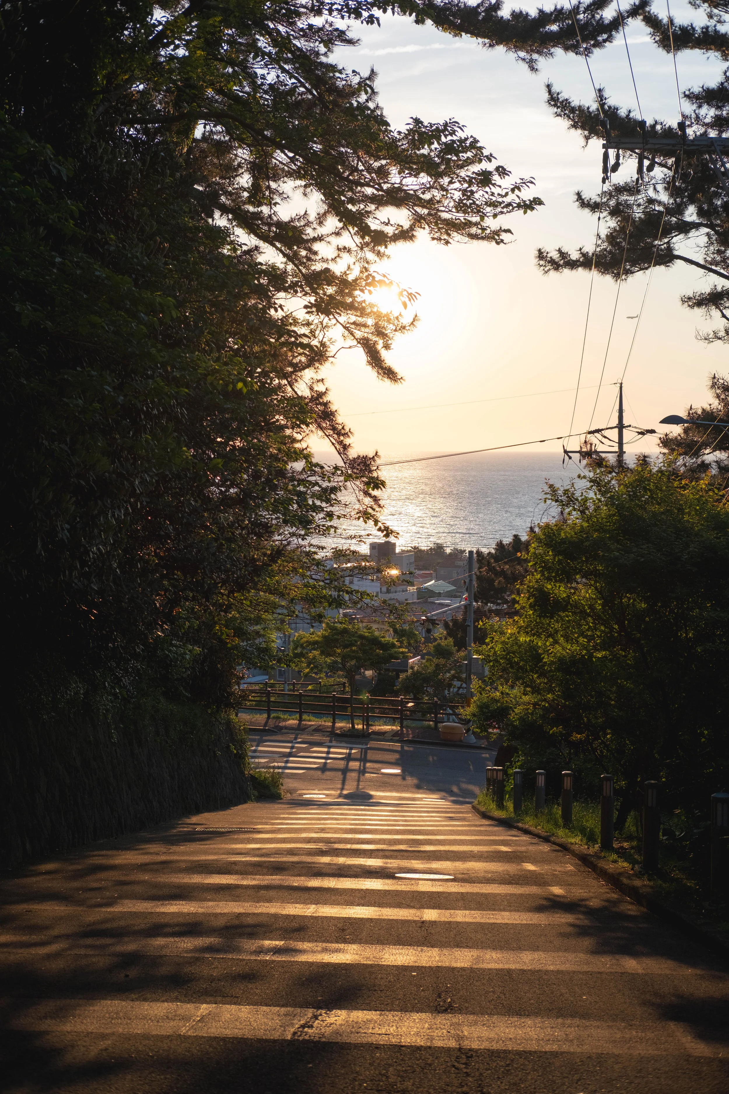 KOREA_2026-13.jpg