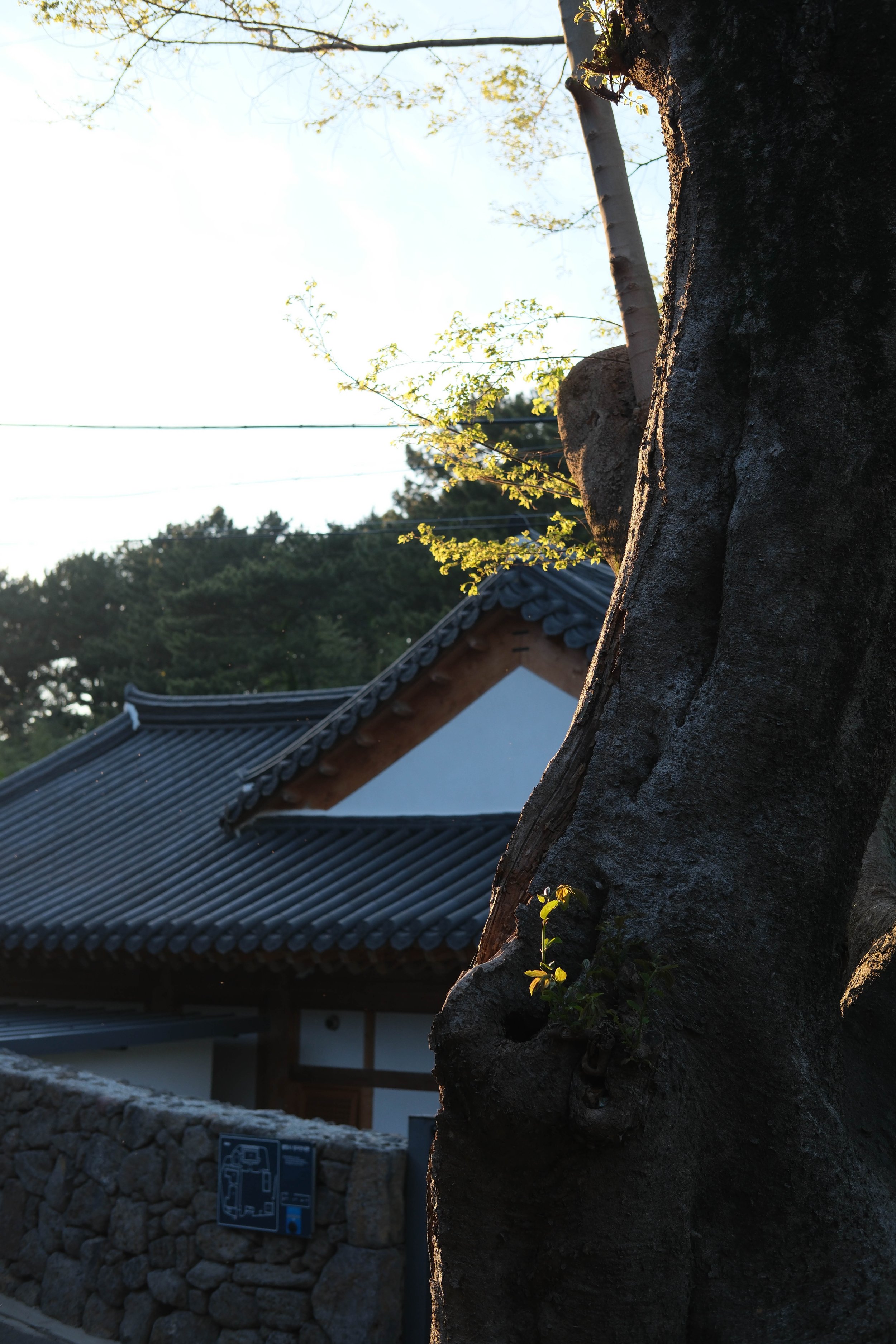 KOREA_2026-35.jpg